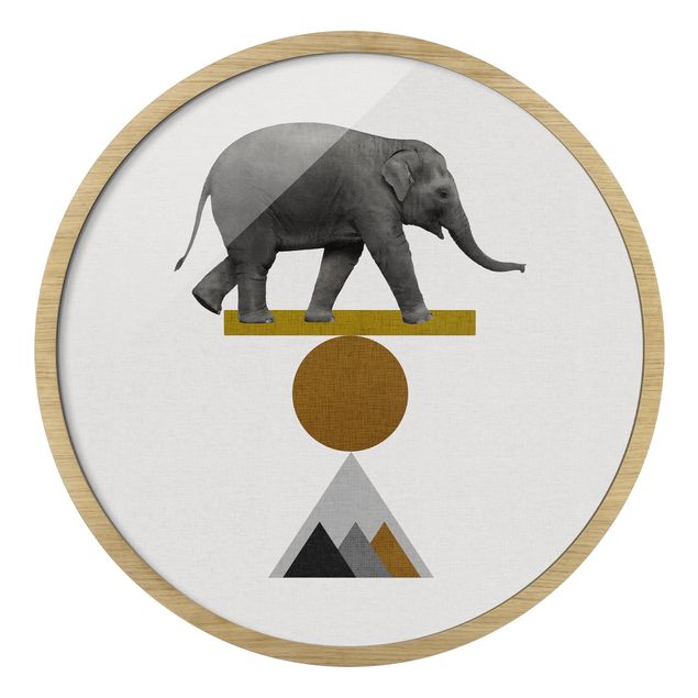 Bilder mit Rahmen Balancekunst Elefant