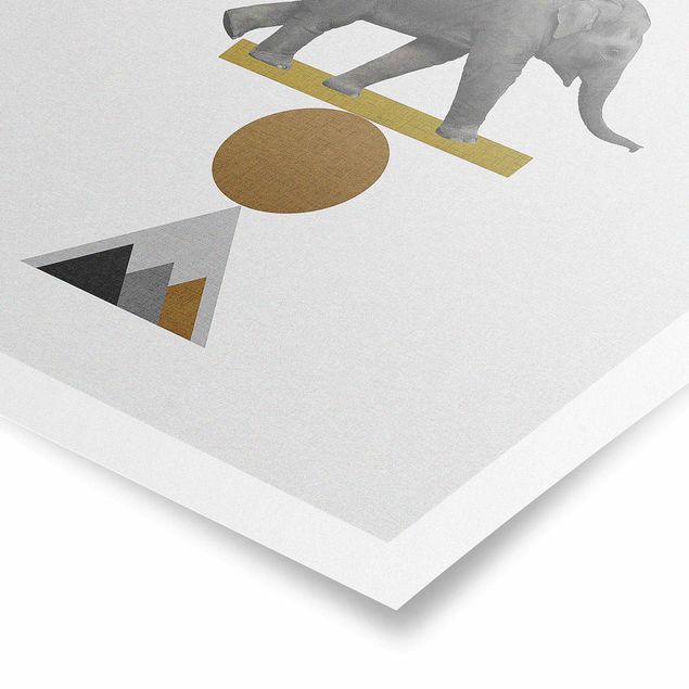 Poster - Balancekunst Elefant - Quadrat 1:1