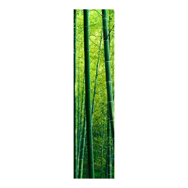 Schiebegardinen Schiene 3-läufig Bambuswald