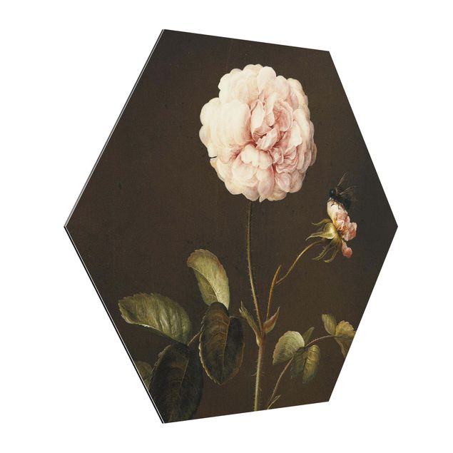 Kunstkopie Barbara Regina Dietzsch - Essig-Rose mit Hummel