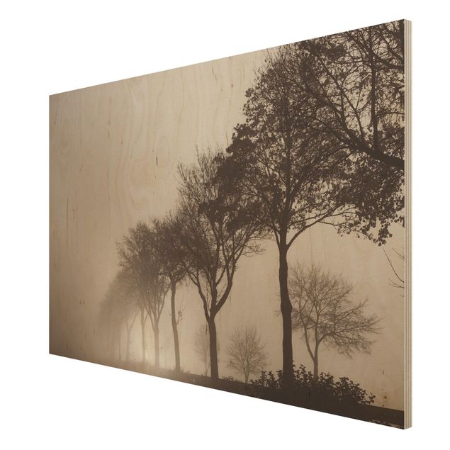 Holzbilder Baumallee im Morgennebel