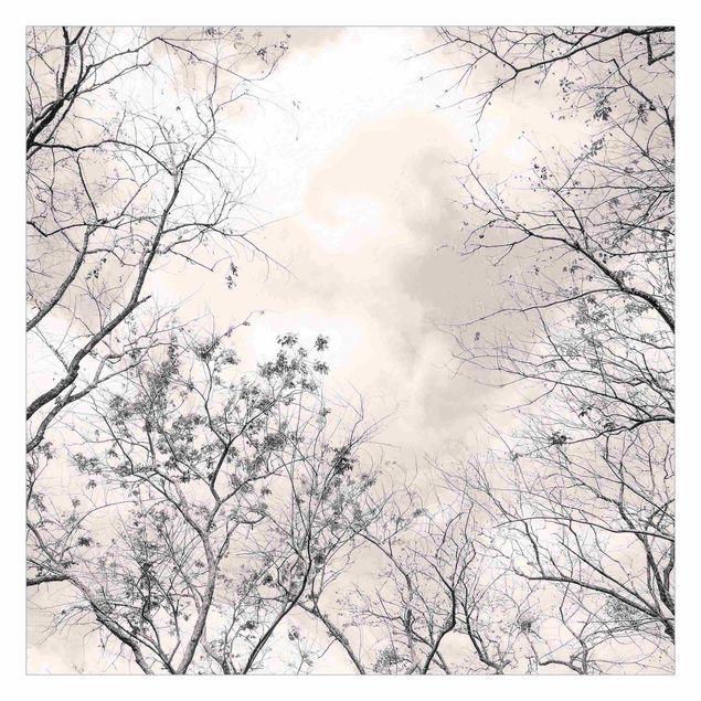 Fototapete - Baumkronen im Himmel in Warmgrau