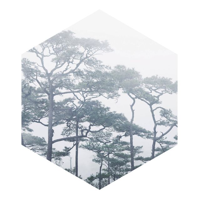 Fototapete Schlafzimmer Grau Baumkronen im Nebel
