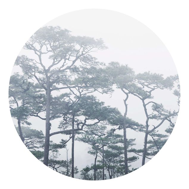 Fototapete Landschaft Baumkronen im Nebel