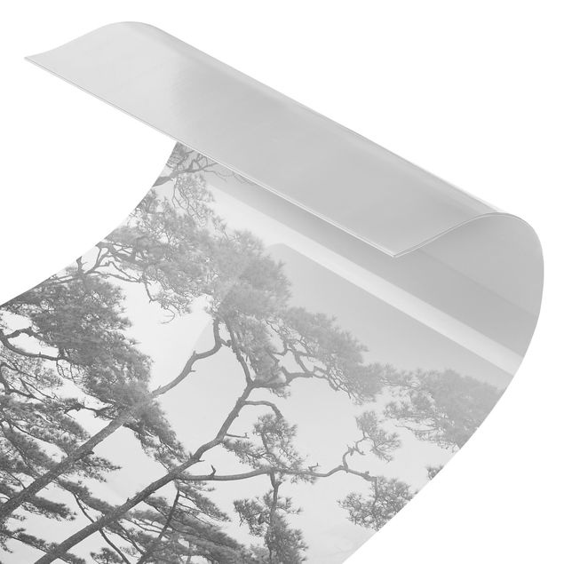 Duschrückwand - Baumkronen im Nebel Schwarz Weiß
