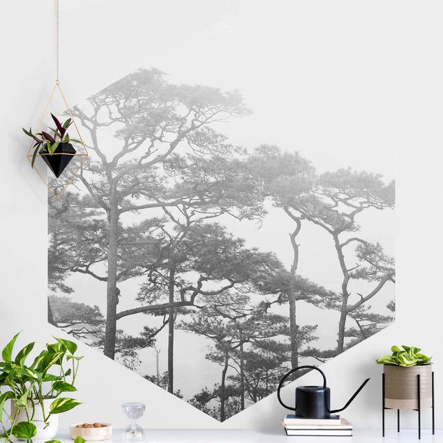 Wandtapete Baum Baumkronen im Nebel Schwarz Weiß