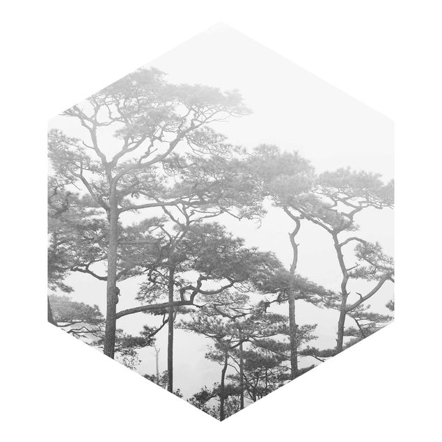 Fototapete Design Baumkronen im Nebel Schwarz Weiß