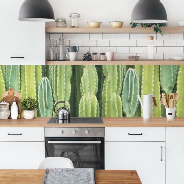 Küchenrückwand Glas Blumen Kaktus Wand