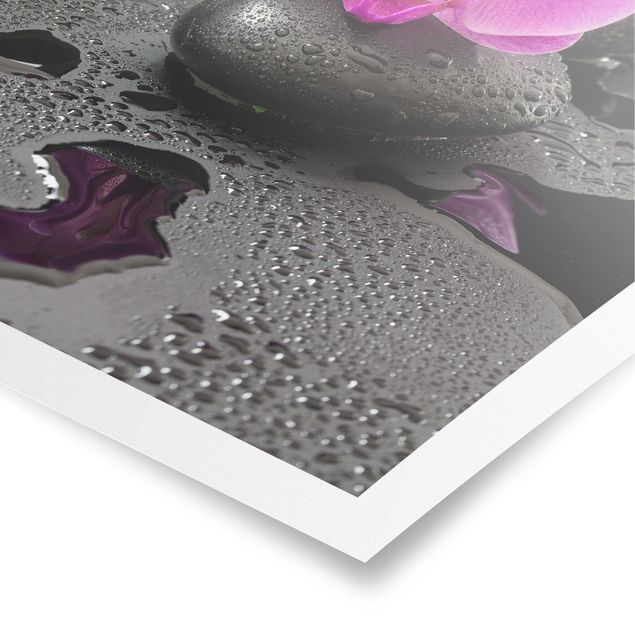 Poster - Pinke Orchideenblüten auf Steinen mit Tropfen - Hochformat 4:3