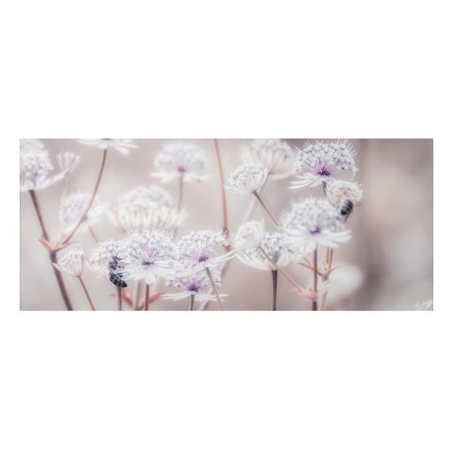 Alu Dibond Bilder Federleichte Wildblumen