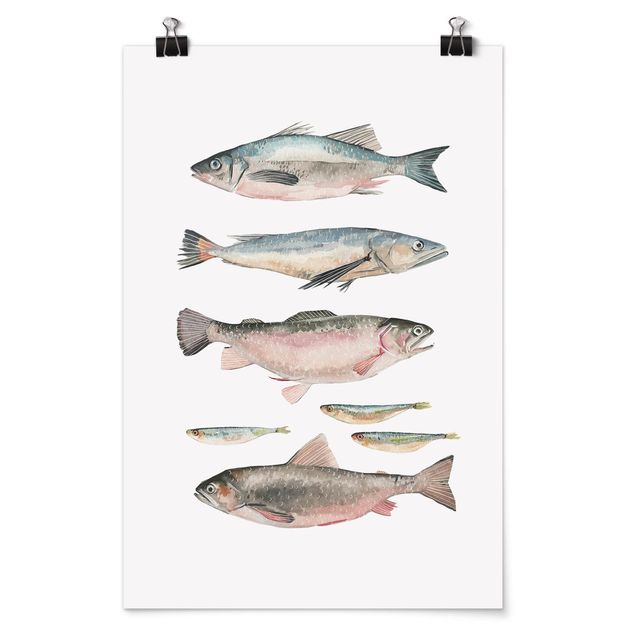 Poster Aquarell Sieben Fische in Aquarell I