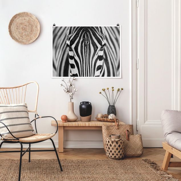 Poster Schwarz-Weiß Zebra Look