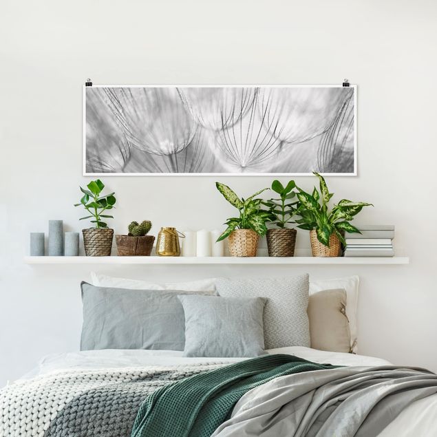 Poster - Pusteblumen Makroaufnahme in schwarz weiß - Panorama Querformat