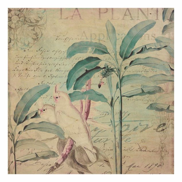 Holzbilder Blumen Colonial Style Collage - Kakadus und Palmen