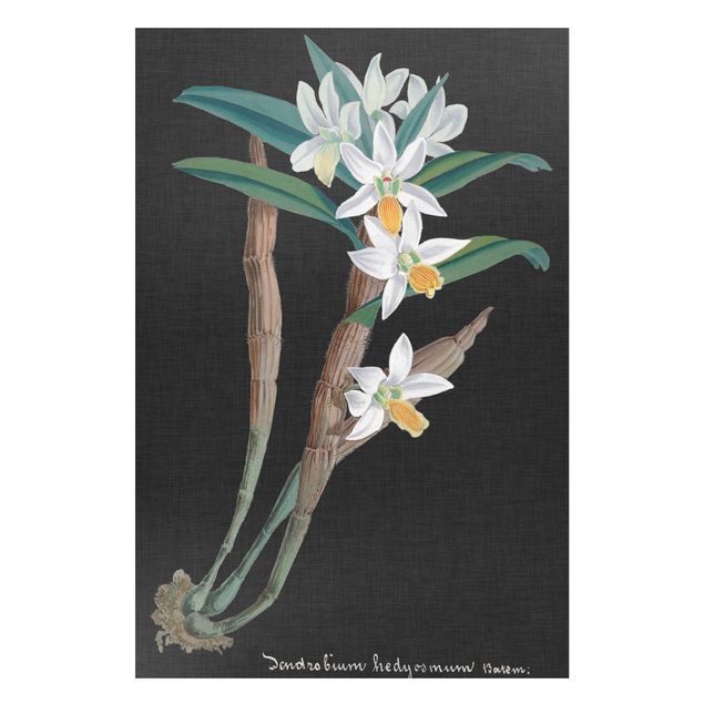 Magnettafel Blumen Weiße Orchidee auf Leinen I