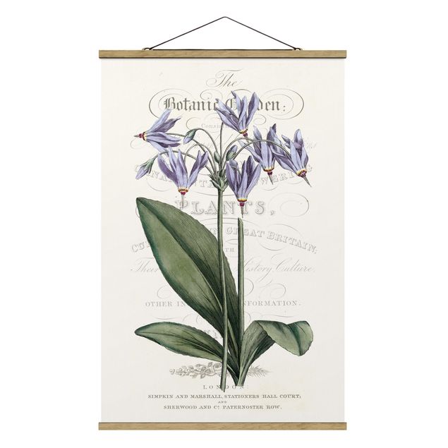 Stoffbild mit Posterleisten - Botanisches Tableau - Götterblume - Hochformat 2:3