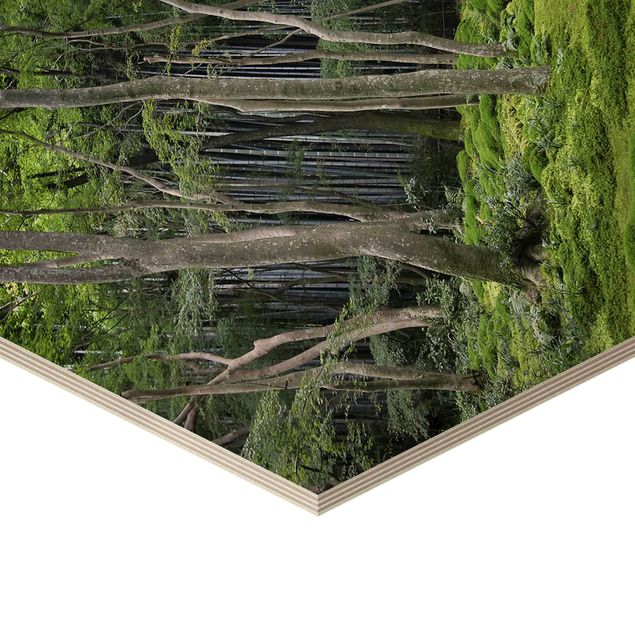 Hexagon Bild Holz - Japanischer Wald