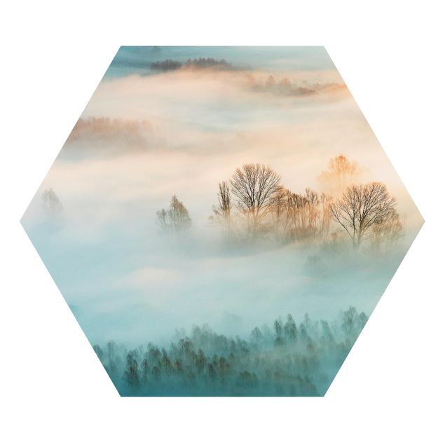 Hexagon Bild Forex - Nebel bei Sonnenaufgang