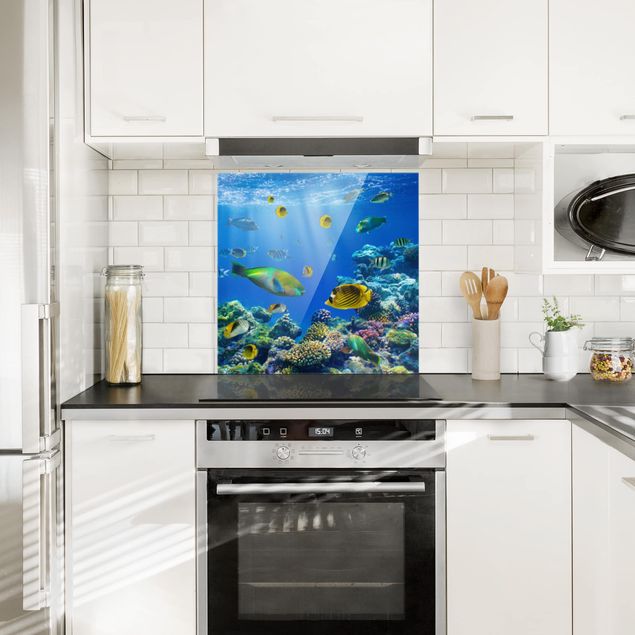 Küchenrückwand Glas Motiv Wald Underwater Lights