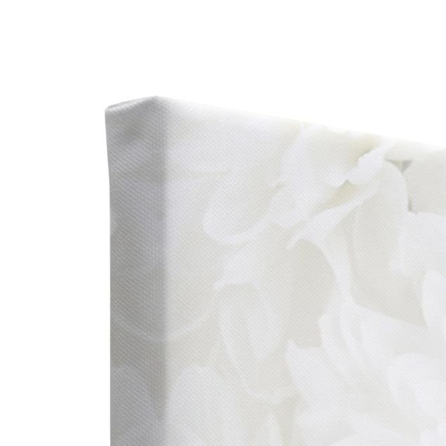 Leinwandbild 3-teilig - Dahlien Blumenmeer weiß - Triptychon