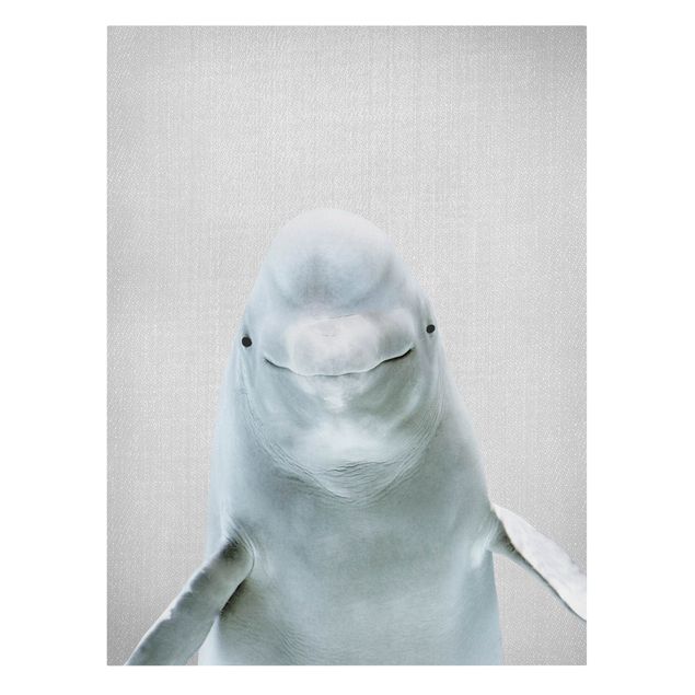 Leinwandbilder Tier Belugawal Bob