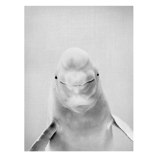 Leinwandbilder Tier Belugawal Bob Schwarz Weiß