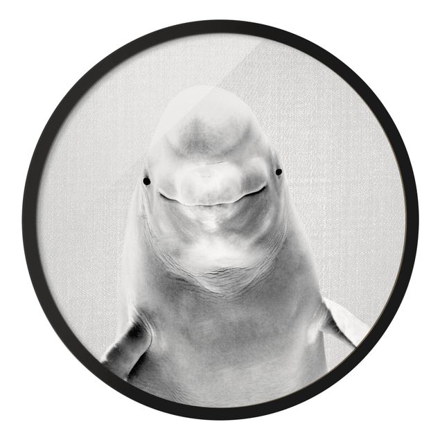 Bilder mit Rahmen Belugawal Bob Schwarz Weiß