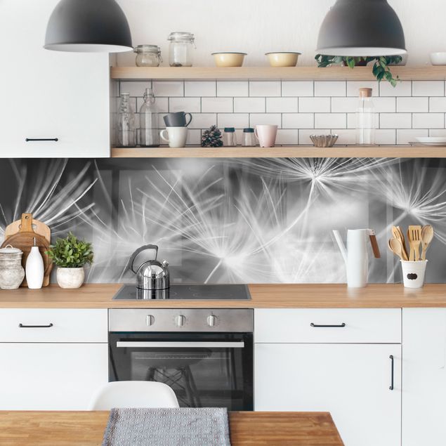 Küchenrückwand Glas Motiv Wald Bewegte Pusteblumen Nahaufnahme auf schwarzem Hintergrund