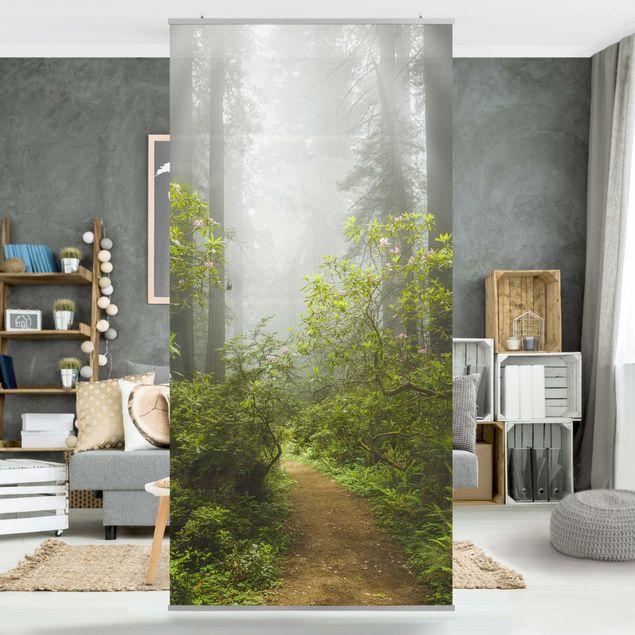 Vorhang Raumteiler Nebliger Waldpfad