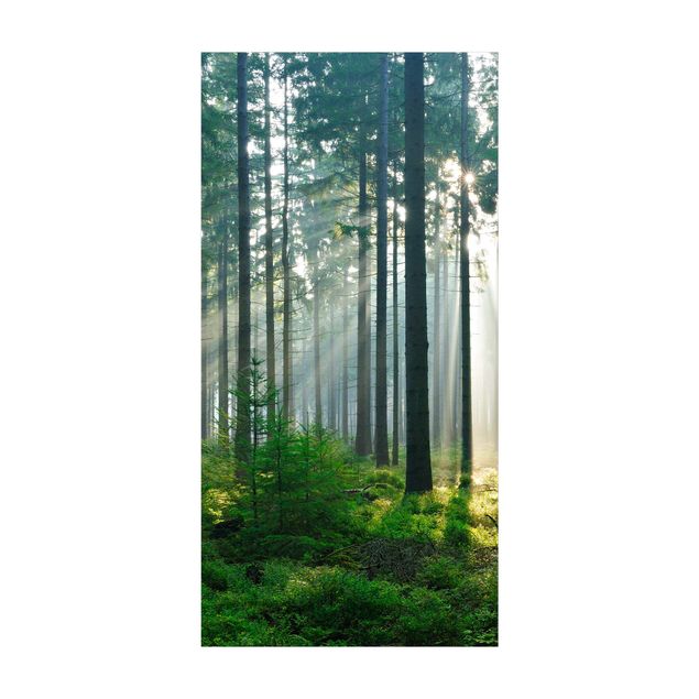 Teppich Wald Enlightened Forest