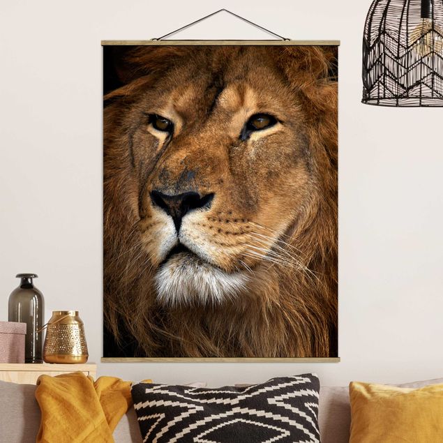 Wandbilder Tiere Löwenblick