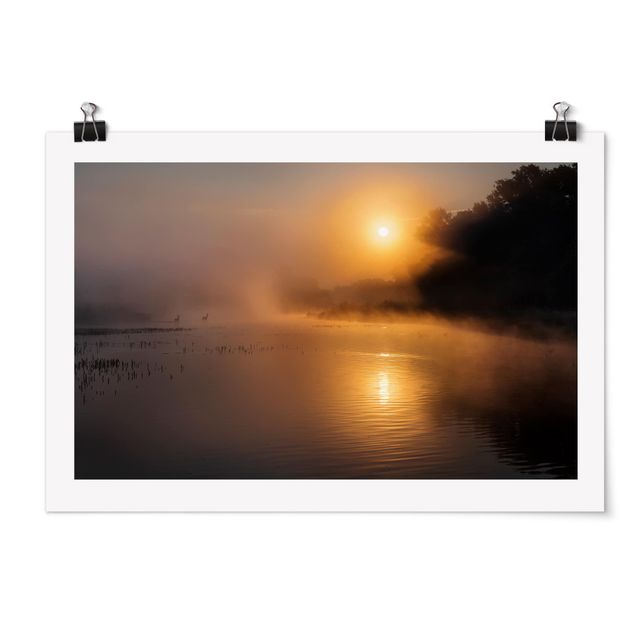 Poster Sonnenaufgang am See mit Rehen im Nebel