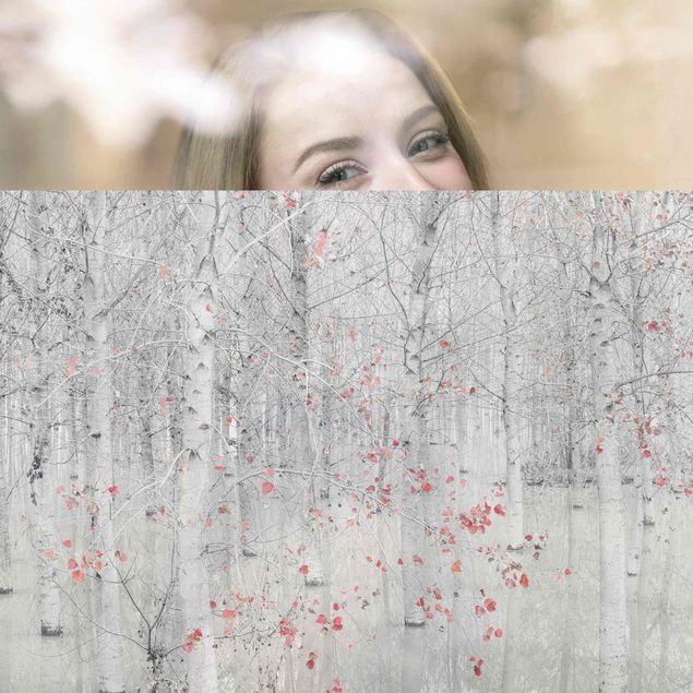 XXL Fensterbilder Birkenwald mit rosa Blättern