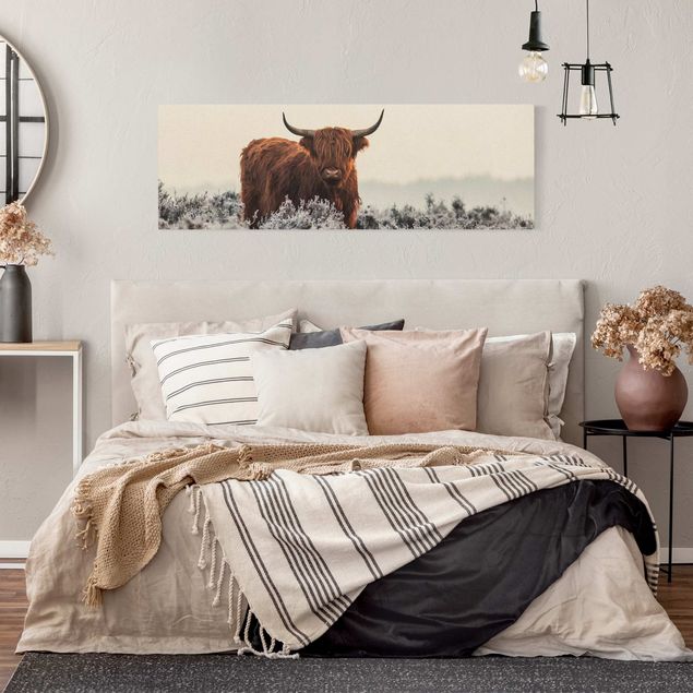 Moderne Leinwandbilder Wohnzimmer Bison in den Highlands