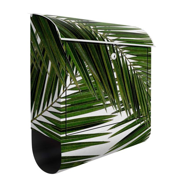 Briefkasten Natur Blick durch grüne Palmenblätter