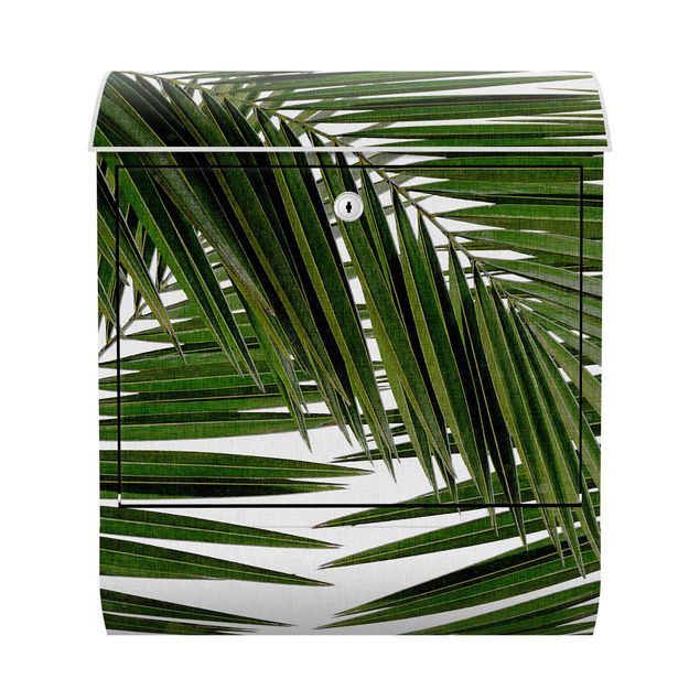Briefkasten mit Blumen Blick durch grüne Palmenblätter