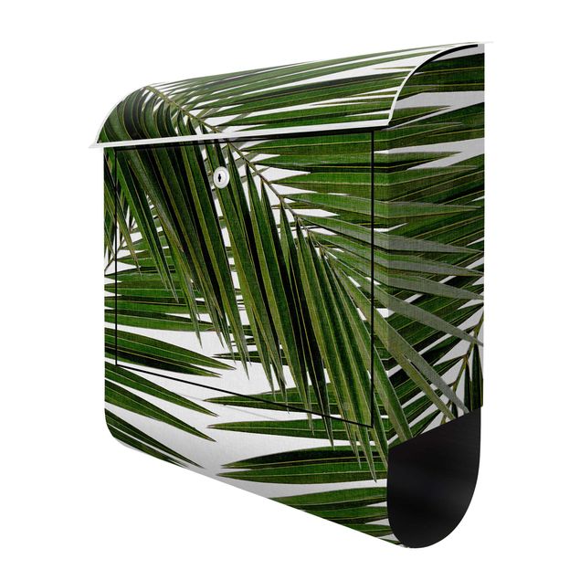 Postkasten grün Blick durch grüne Palmenblätter