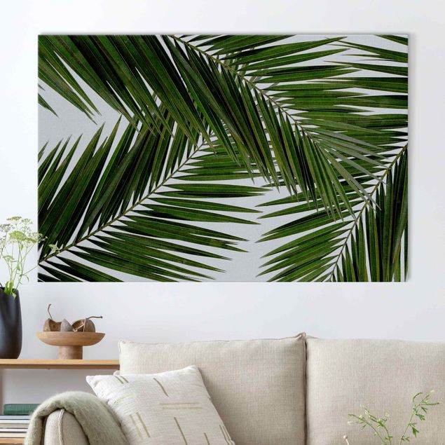 Bilder für die Wand Blick durch grüne Palmenblätter
