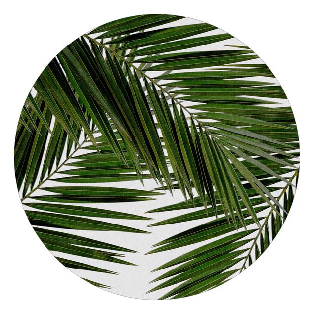 Tapete Natur Blick durch grüne Palmenblätter