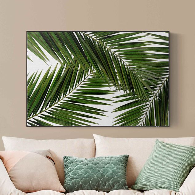 Akustik-Wechselbild - Blick durch grüne Palmenblätter
