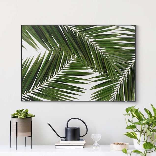 Schöne Wandbilder Blick durch grüne Palmenblätter