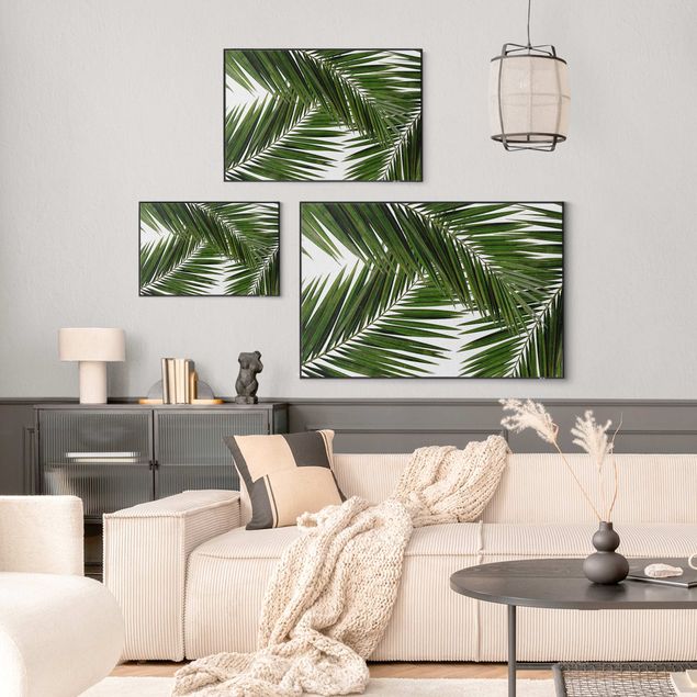 Wechselbild - Blick durch grüne Palmenblätter