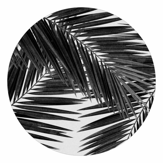 Fototapete Natur Blick durch Palmenblätter schwarz weiß