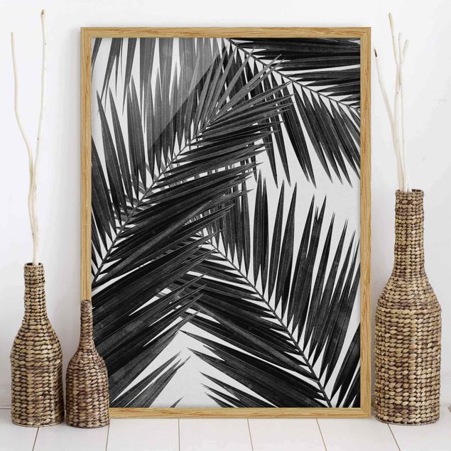 Blumen Bilder mit Rahmen Blick durch Palmenblätter schwarz weiß
