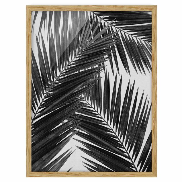 Bilder mit Rahmen Blick durch Palmenblätter schwarz weiß