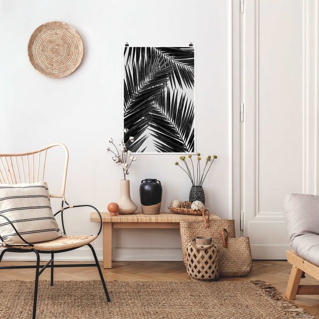 Poster Natur Blick durch Palmenblätter schwarz weiß