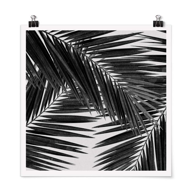 Schwarz-Weiß Poster Blick durch Palmenblätter schwarz weiß