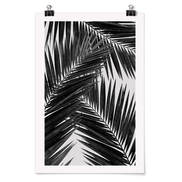 Poster Schwarz-Weiß Blick durch Palmenblätter schwarz weiß