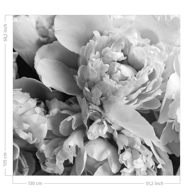 Vorhang Blumen Blühende Pfingstrosen Schwarz-Weiß