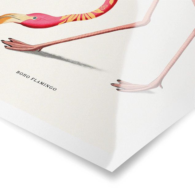 Poster bestellen Boho Vogel - Flamingo